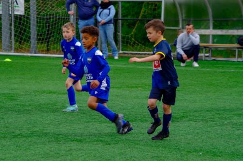 Provinciale finales Vlaams-Brabant 2024 / U9 / Crossing Vissenaken - Sportief Rotselaar