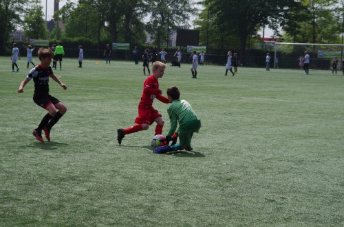 IMGP2755